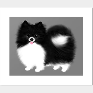 Black and White Pomeranian Posters and Art